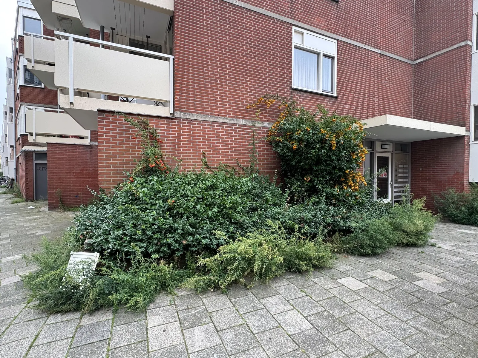 Bild 12 von 12