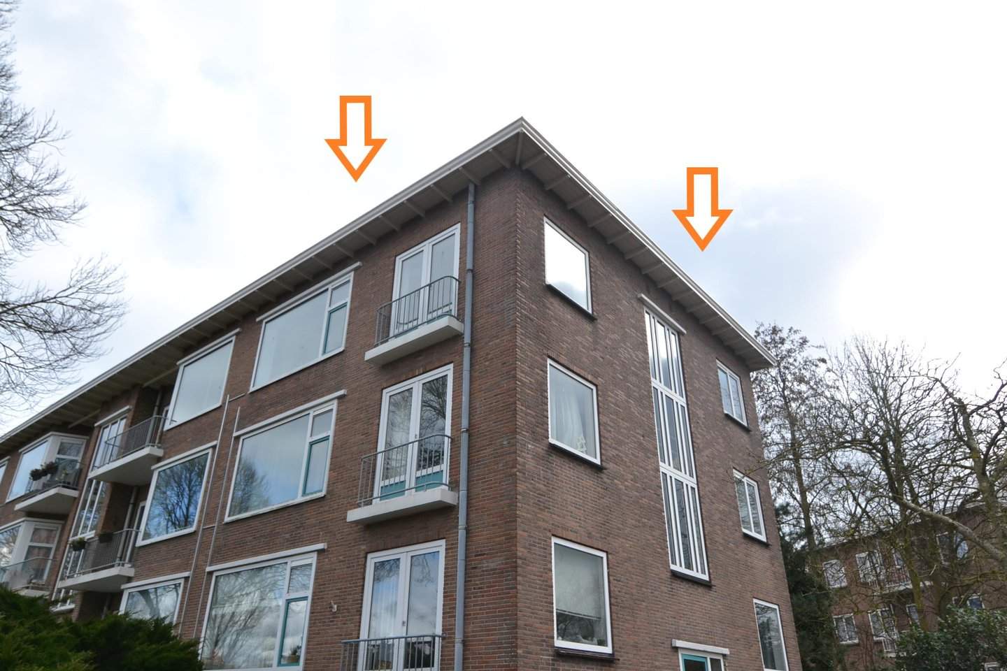 Image 1 of 12