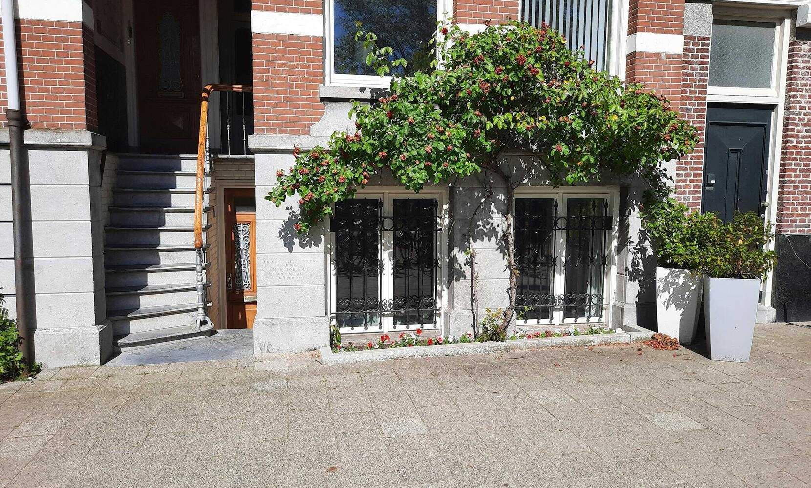 Afbeelding 2 van 10