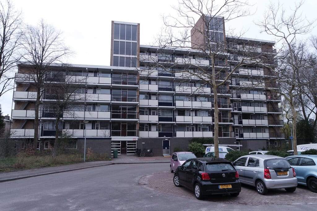 Afbeelding 1 van 12