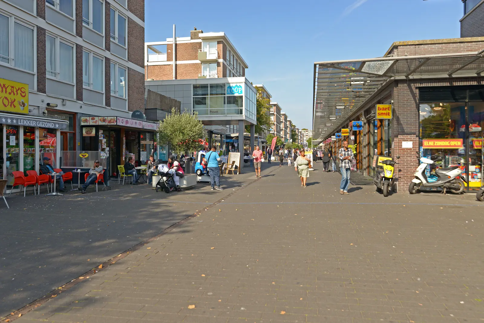 Afbeelding 5 van 5
