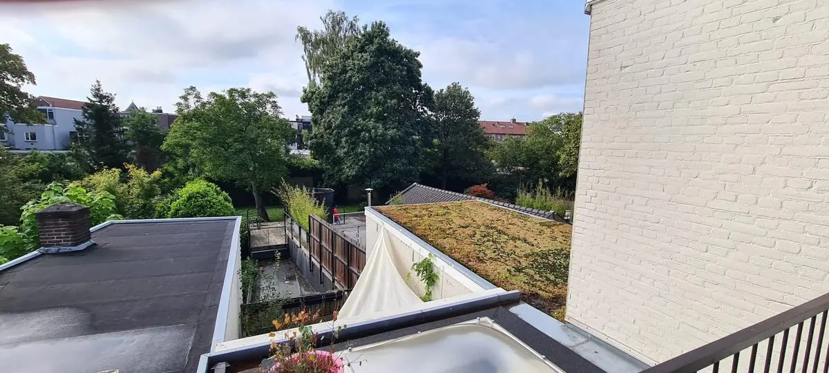 Afbeelding 4 van 14