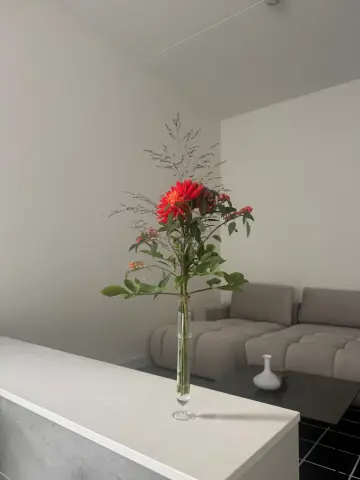 Habitación amueblada en Lutonhof, Ámsterdam - En alquiler