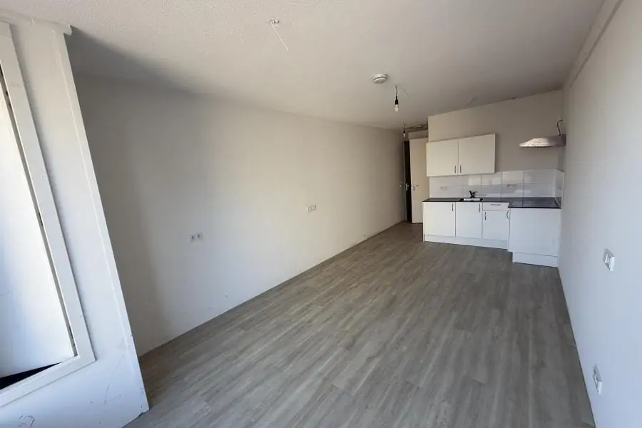 Image 9 of 20