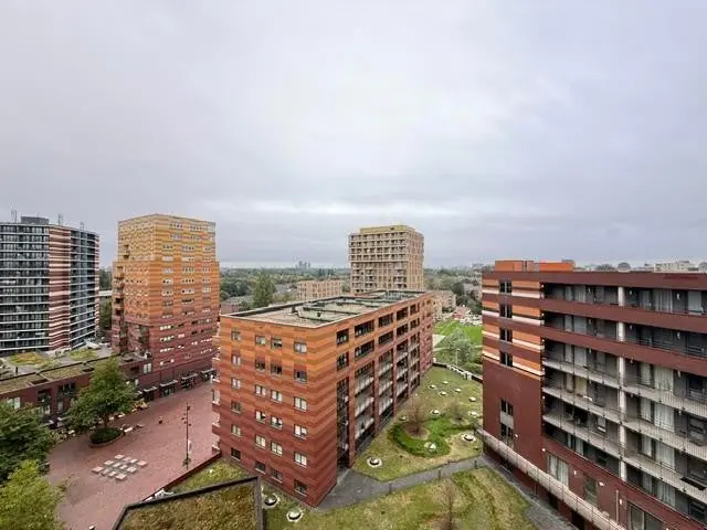 Afbeelding 1 van 14