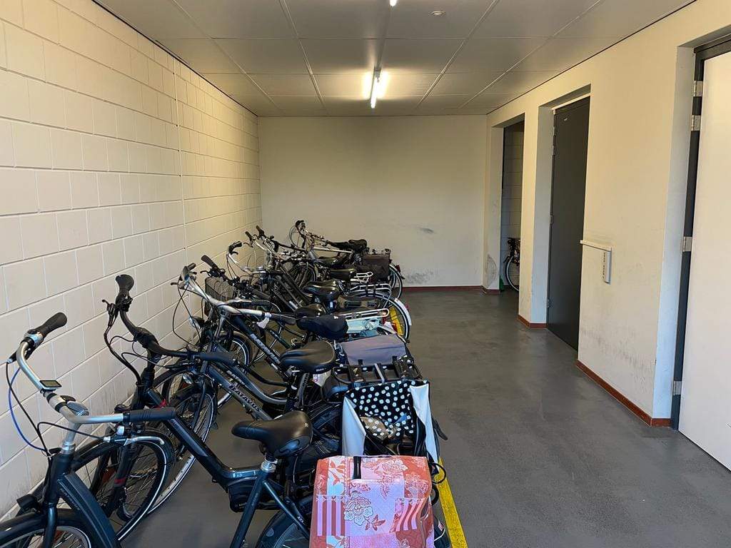 Afbeelding 2 van 12