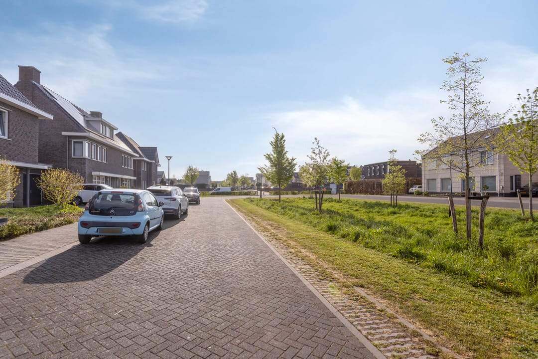 Afbeelding 38 van 38
