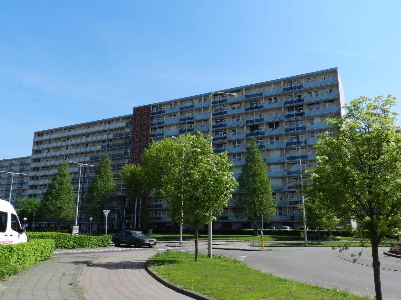 Afbeelding 2 van 3