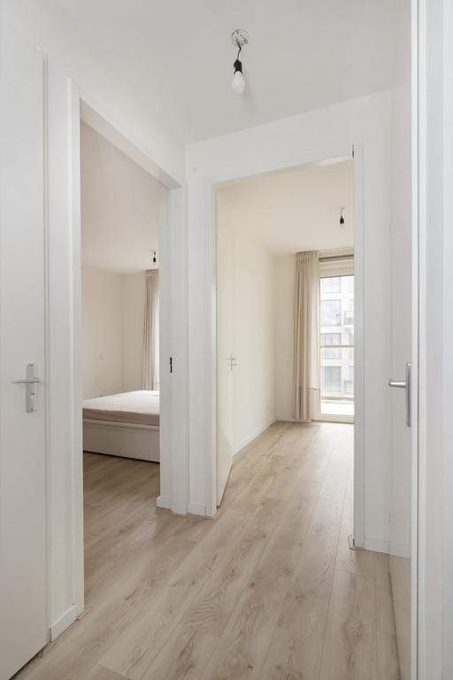 Bild 8 von 33