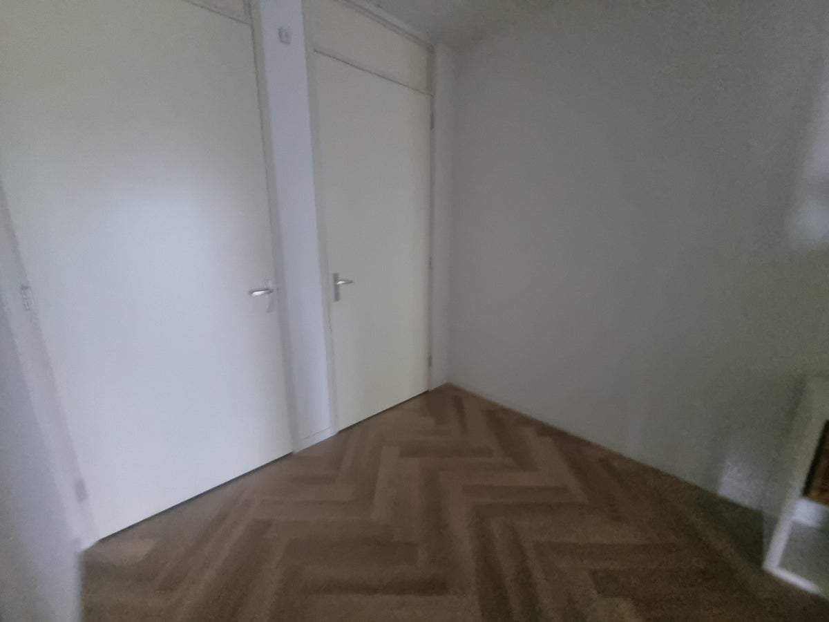 Bild 3 von 21