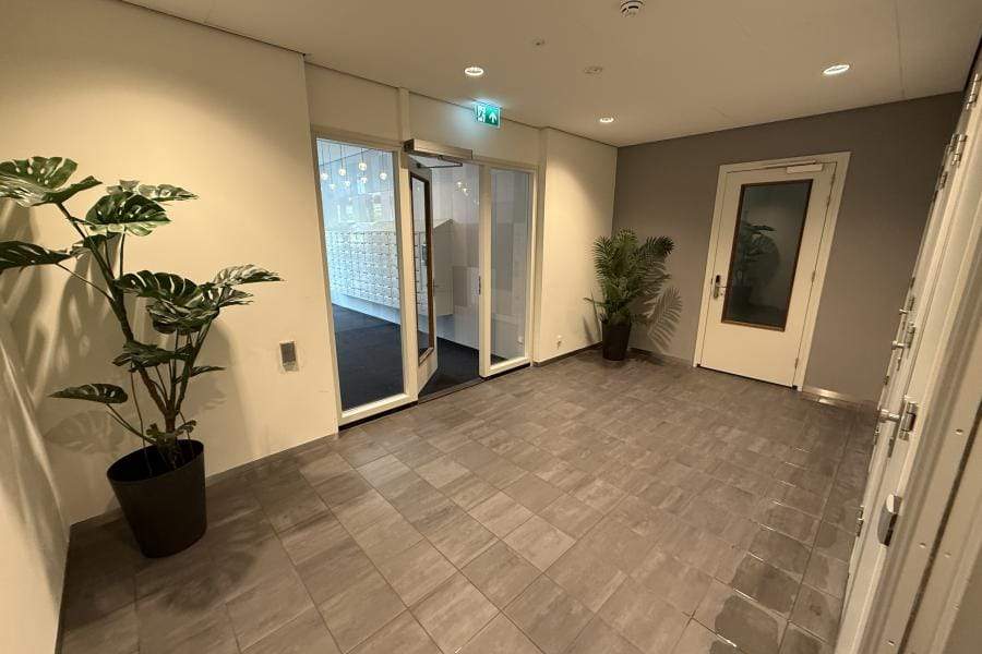 Image 3 of 20