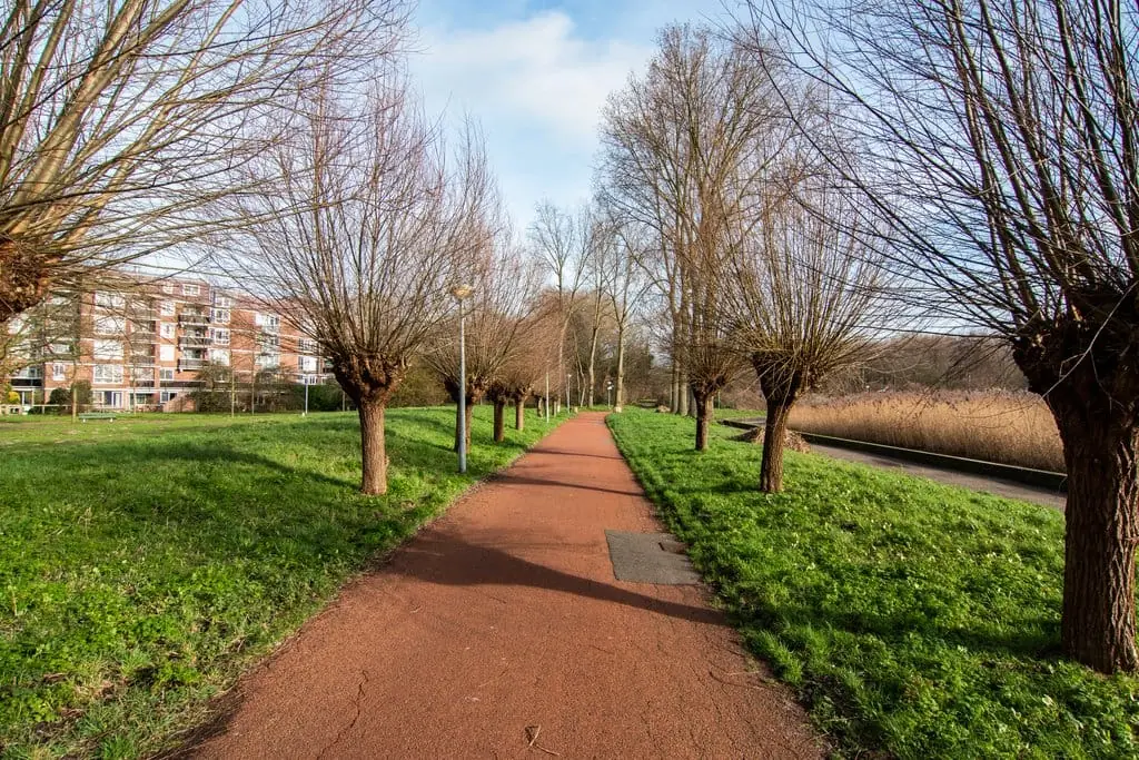Image 24 of 28