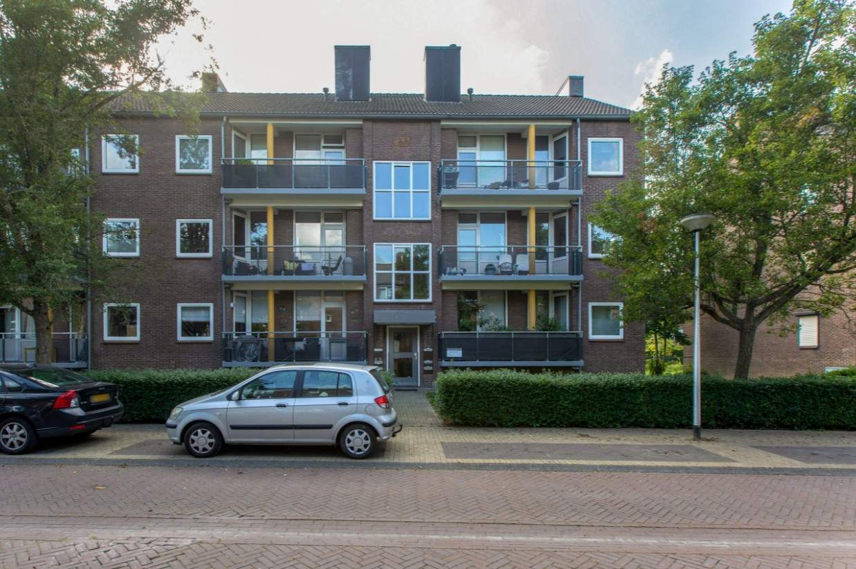 Afbeelding 1 van 1