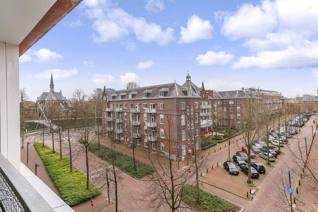 Afbeelding 7 van 12