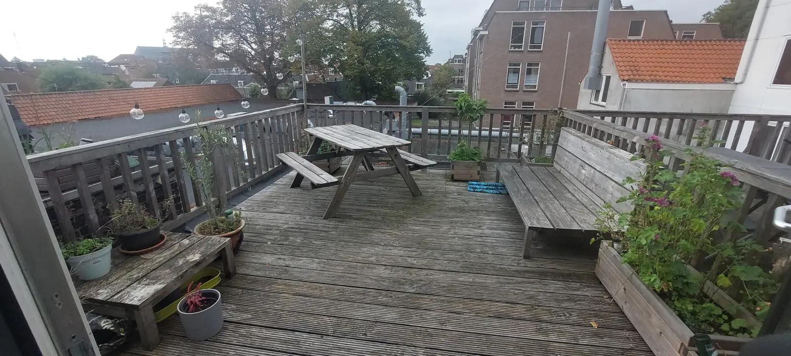 Afbeelding 6 van 6