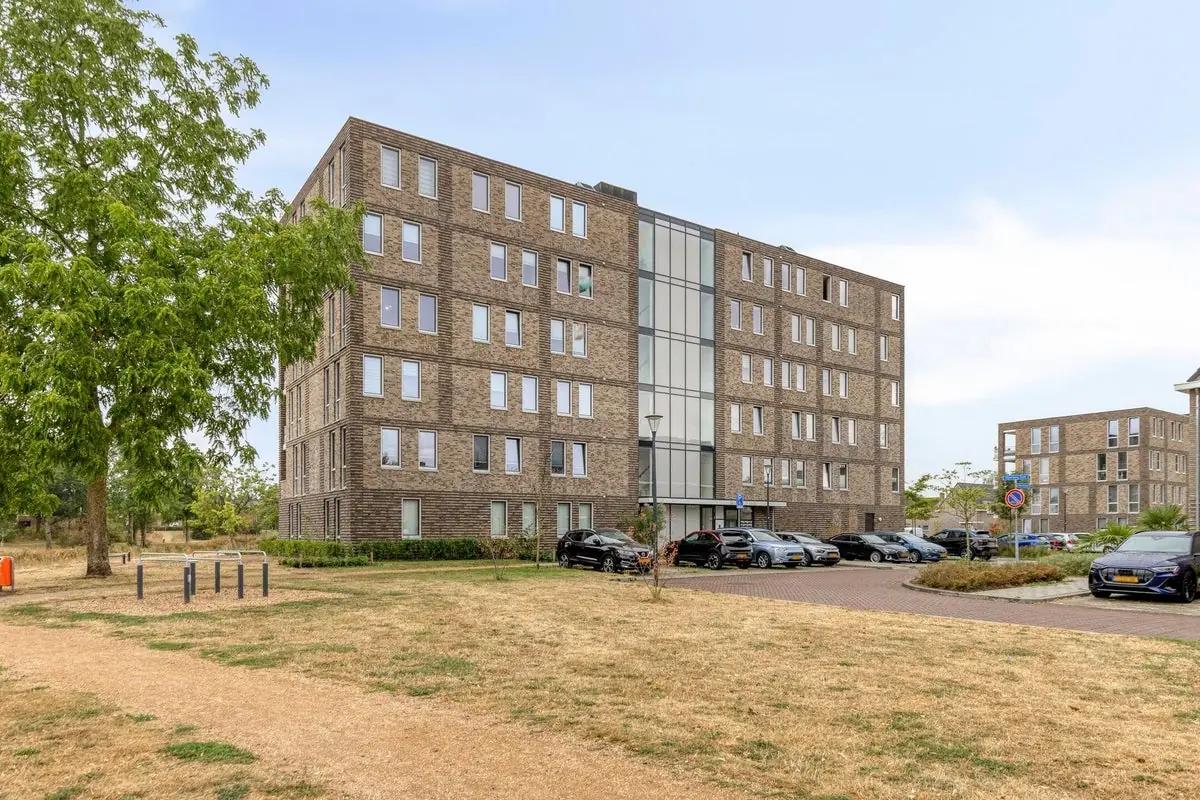 Image 24 of 27