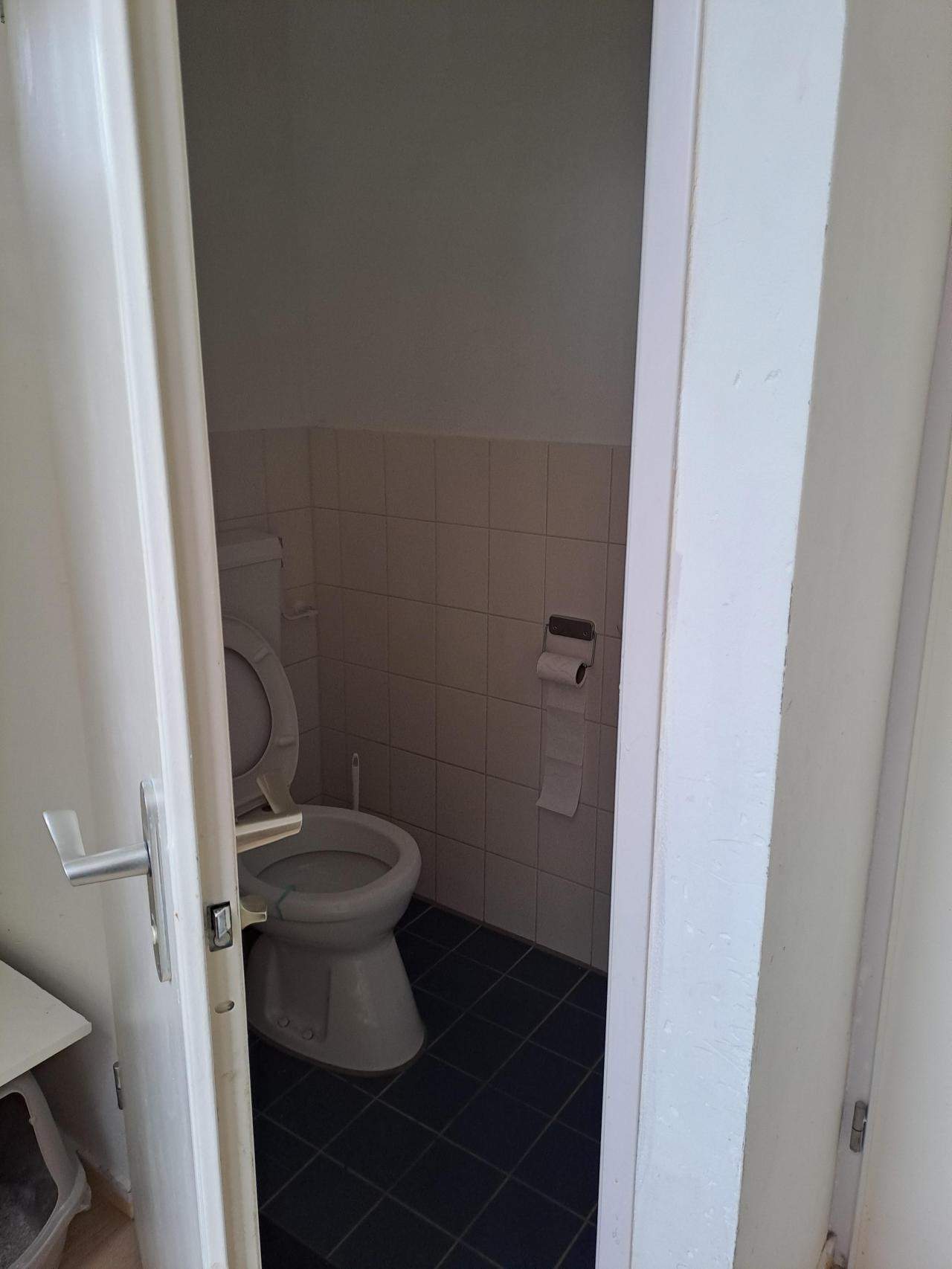 Bild 3 von 9