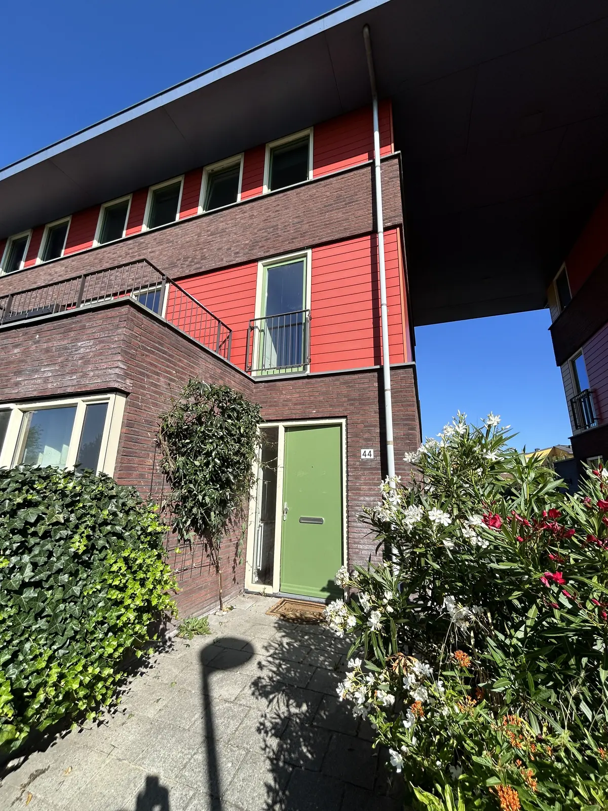Afbeelding 1 van 19