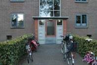 Afbeelding 3 van 11