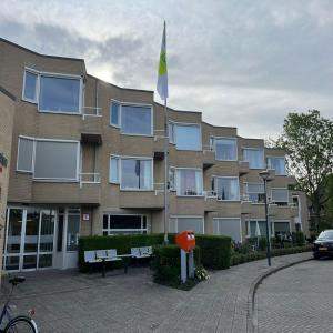 Afbeelding 6 van 10
