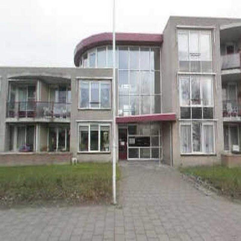 Afbeelding 4 van 4