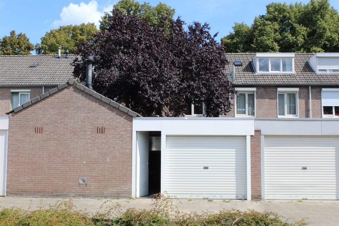 Afbeelding 16 van 18