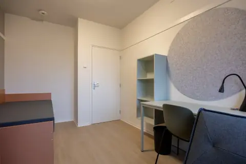 Chambre à Plutolaan, Groningue - À Louer