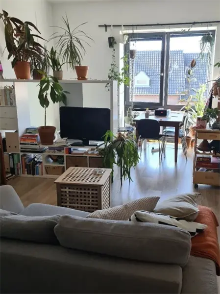 Image 3 of 3