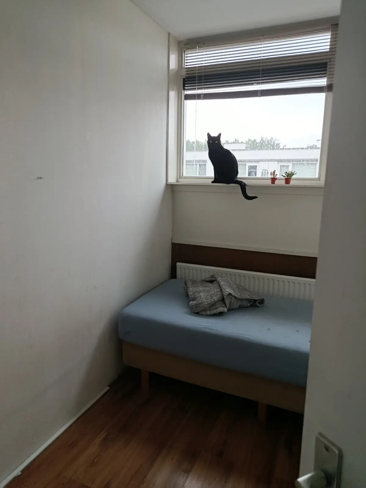 Furnished Room Valkenswaardstraat, Tilburg - For Rent