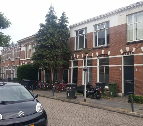 Afbeelding 2 van 7