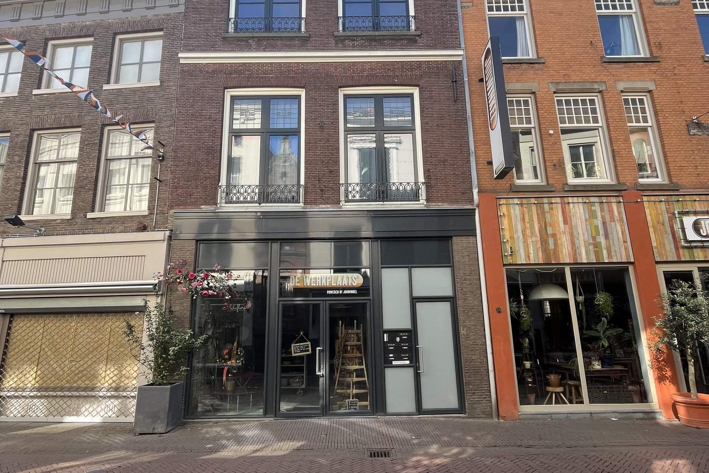Afbeelding 1 van 12