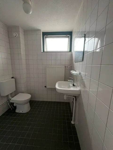 Bild 12 von 25