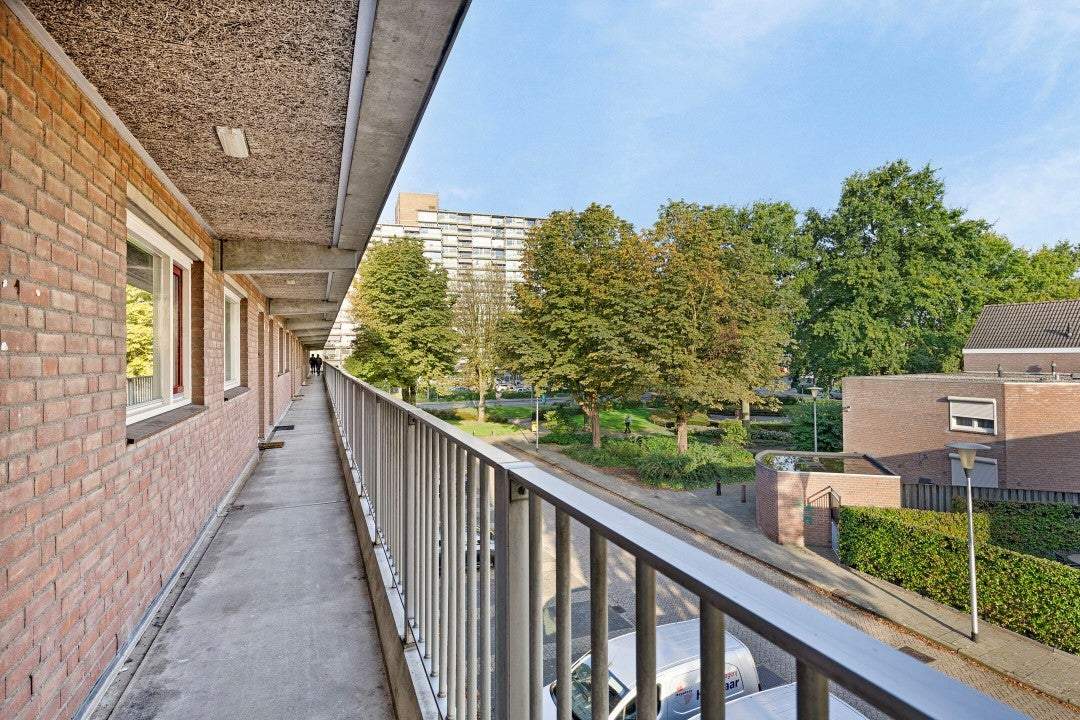 Image 3 of 13