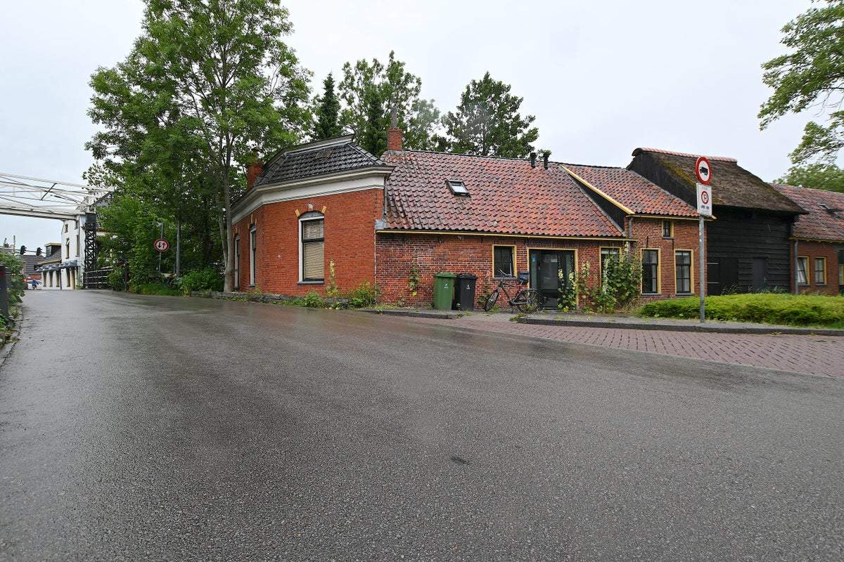 Afbeelding 1 van 22
