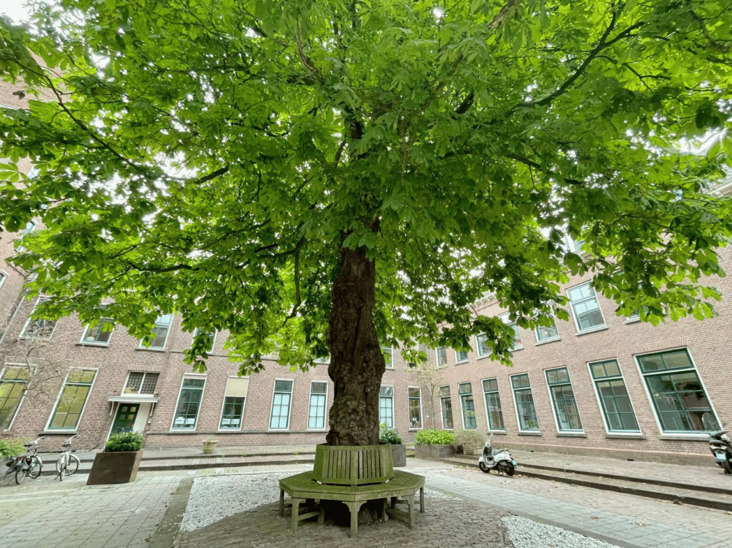 Image 26 of 37