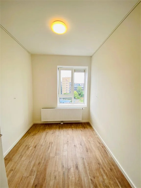 Image 10 of 16