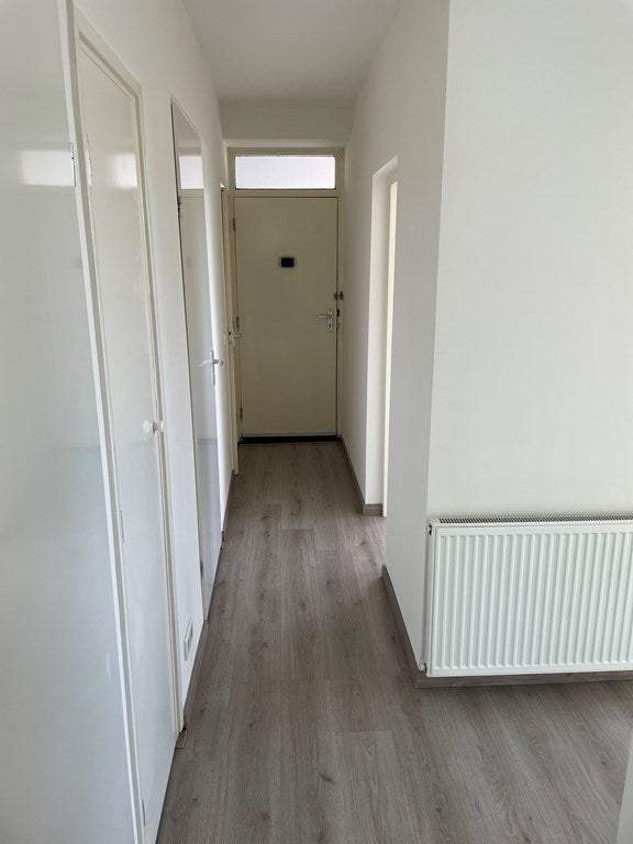 Bild 2 von 14
