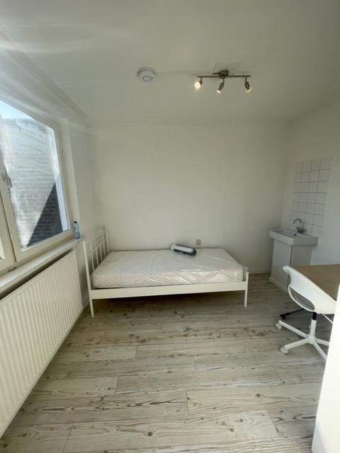 Bild 2 von 8