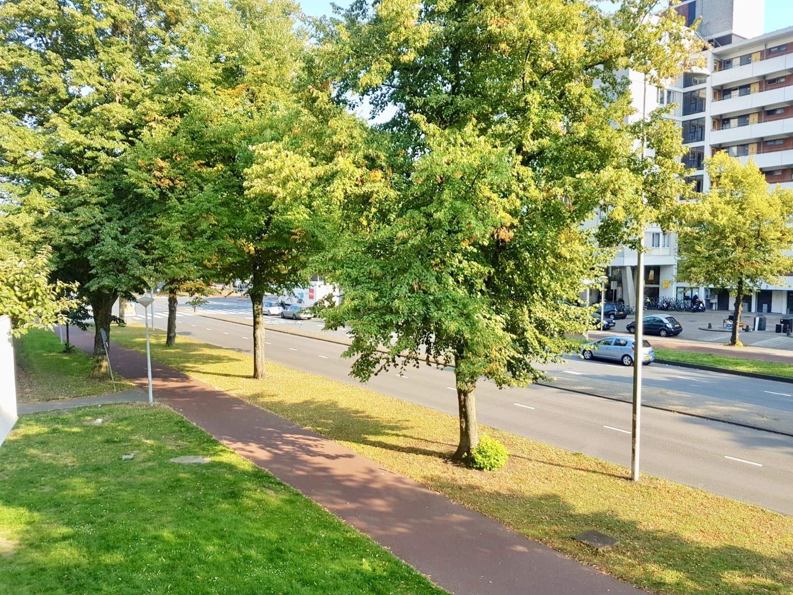 Image 24 of 28