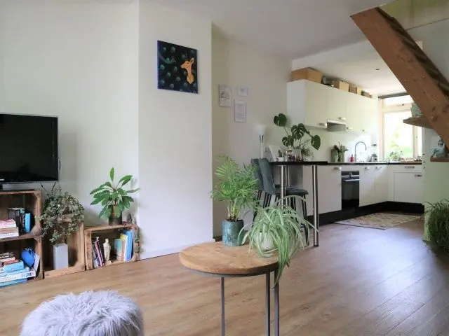 Image 8 of 24