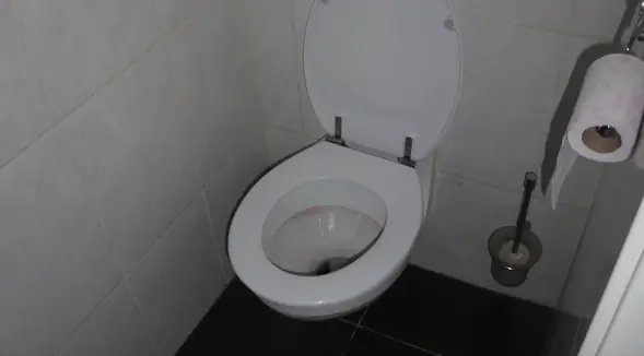 Image 4 of 8