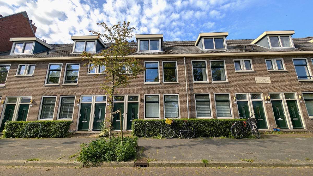 Afbeelding 1 van 22