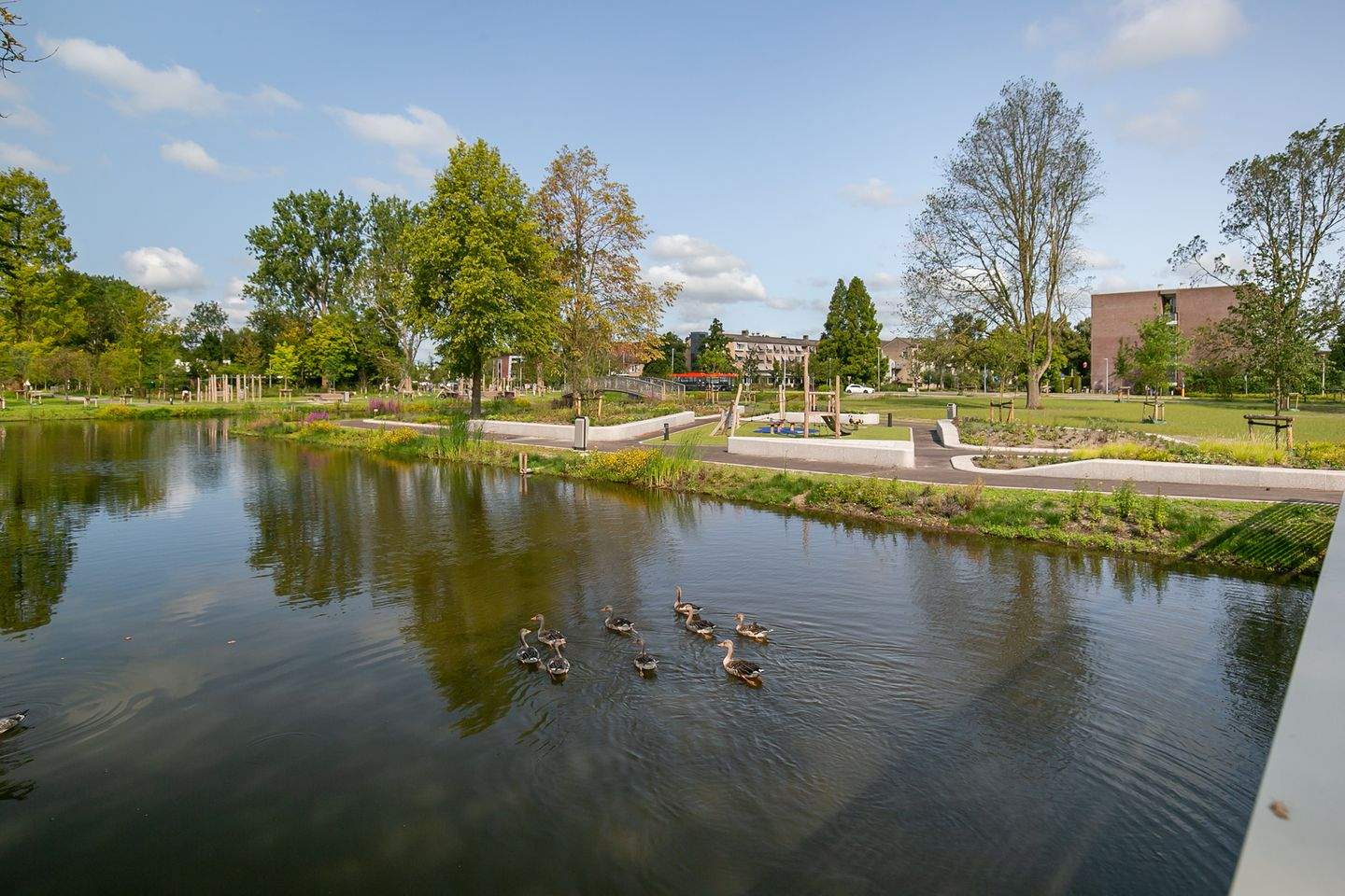 Image 28 of 37