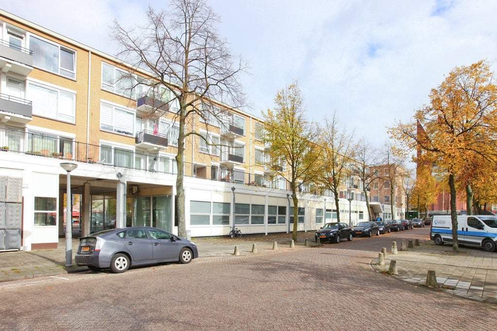 Afbeelding 1 van 13