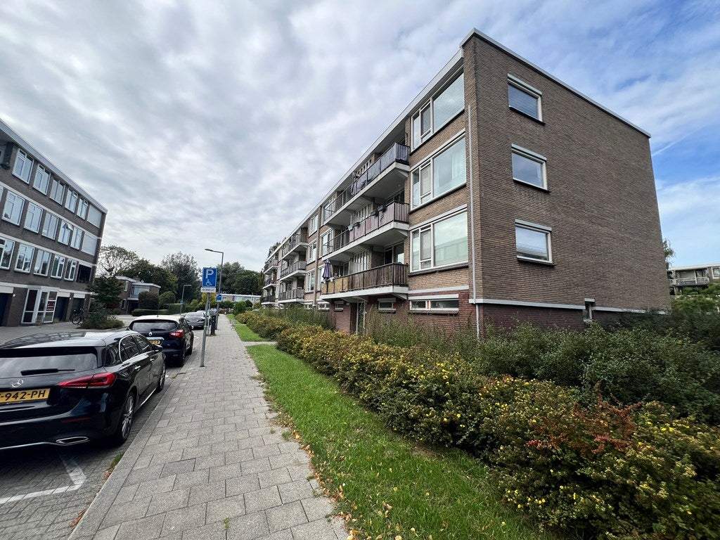 Afbeelding 1 van 7