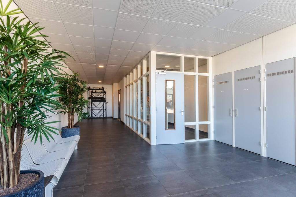Afbeelding 5 van 26