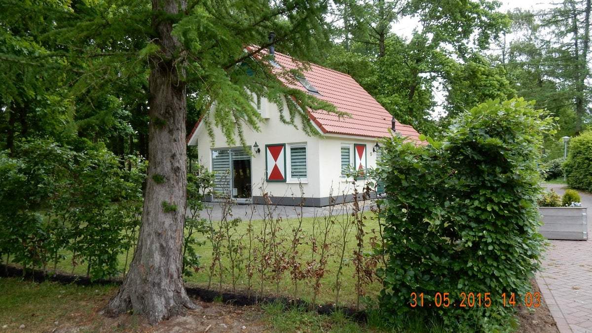 Bild 1 von 19
