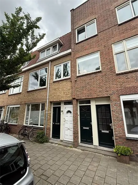Afbeelding 2 van 7