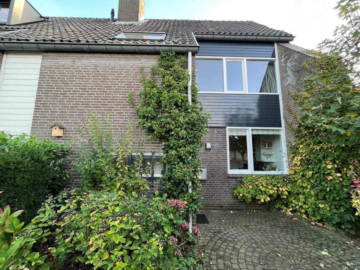 Afbeelding 1 van 15