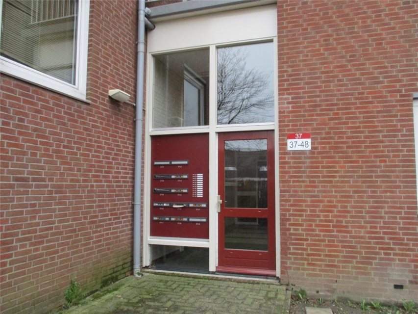 Afbeelding 6 van 6